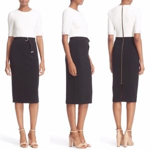 Ted Baker Wandee Colorblock D-Ring Sheath Dress